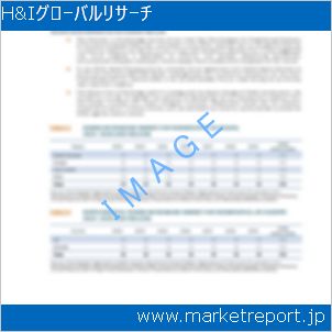 市場と産業調査レポートのイメージ